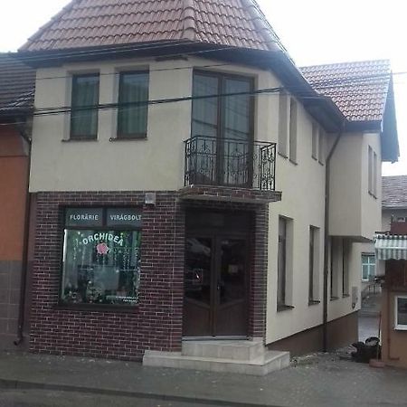 ホテル Casa Claudia Sangeorgiu de Padure エクステリア 写真