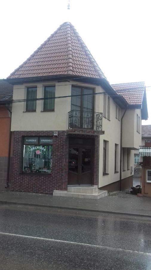 ホテル Casa Claudia Sangeorgiu de Padure エクステリア 写真